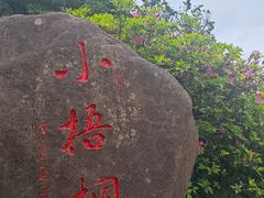 -梧桐山风景名胜区