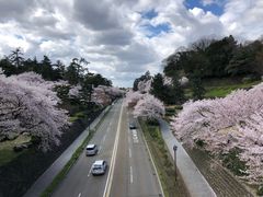 -金泽21世纪美术馆