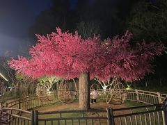 -常德桃花源景区