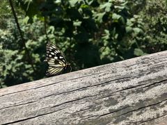 -敬亭山风景名胜区