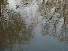 景点-什刹海-后海