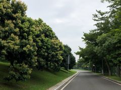 -东莞植物园
