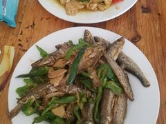 -诚明农家乐
