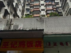 -巫记鸡饭店