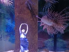 -合肥海洋世界