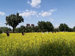 -长白岛森林公园