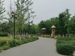 -永定河休闲森林公园