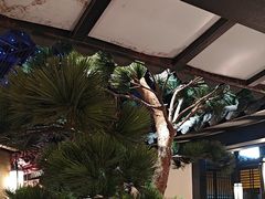 -宋徽厨·安徽菜(绿地店)