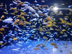 -成都浩海立方海洋公园