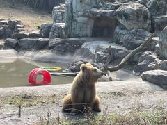 -宁波野生动物园
