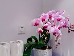 -LANN I 蘭 SPA(陆家嘴中心店)