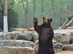 -北京野生动物园