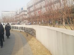 -首都医科大学附属北京天坛医院