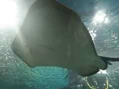 -石家庄海洋公园