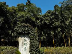 -十八棵（老龙井）御茶园(老龙井店)