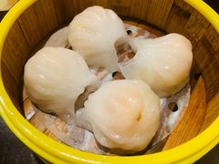 水晶虾饺-博悦茶餐厅(文殊院店)