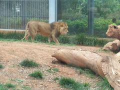 -昆明动物园