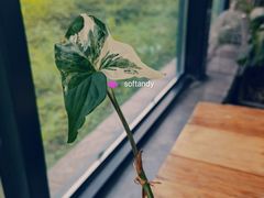 -北马山庄植趣咖啡
