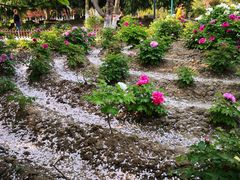 -江南大学(蠡湖校区)