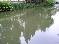 -兰溪青年公园