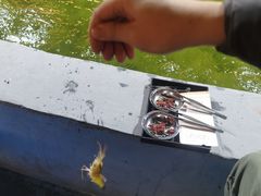 -光头佬钓虾场·烧烤·聚餐·亲子(金沙洲店)