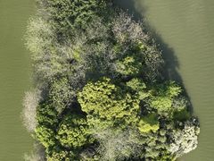 -三垟湿地