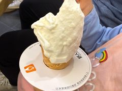 -野人先生Gelato(上海长宁龙之梦店)