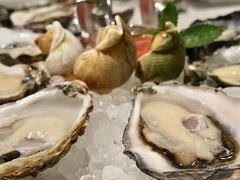-Oyster Talks 四度蚝法餐厅