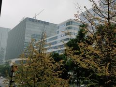-锦城印象火锅(天府三街店)