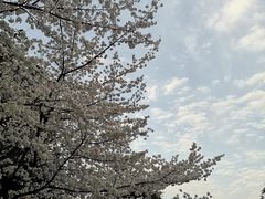 -江苏第二师范学院(草场门校区)