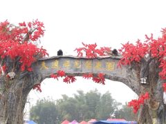 -天适樱花悠乐园