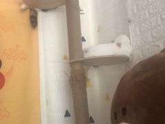 -平行世界·猫咖(首经贸店)