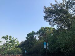 -杭州半山国家森林公园