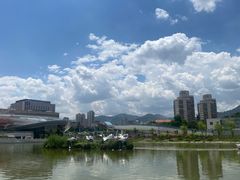 -雁滩公园