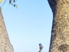 -抚仙湖禄充风景区