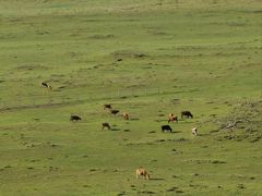 -敕勒川草原文化旅游区