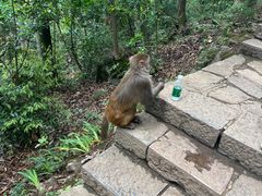 -黔灵山公园