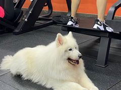 -RoMan罗马健身工作室(莘庄店)