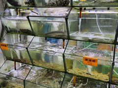 -海之鲜大排档(东山海鲜金銮湾店)
