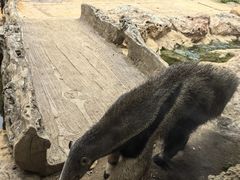 -长鹿旅游休博园
