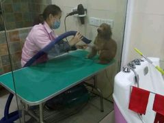 -佳雯宠物医院(四明中路分院)