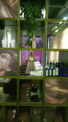 -In Style Hair Salon