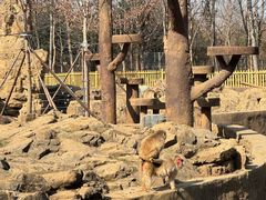 -合肥野生动物园