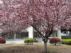 -永辉超市(中南城店)