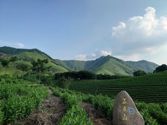 -帐篷客·溪龙茶谷度假酒店