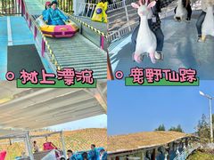 -盈香心动乐园