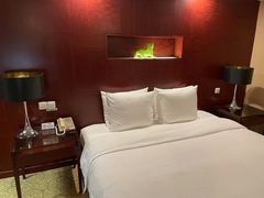 -上海圣淘沙万怡酒店