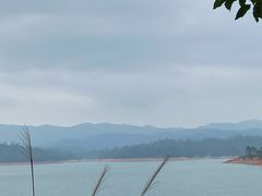 -广州市流溪河国家森林公园