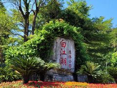 -广州白江湖森林公园