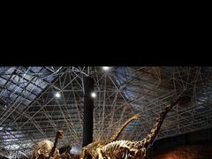 -世界恐龙谷景区